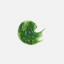 Eight Greens Phyto Masque – Hot